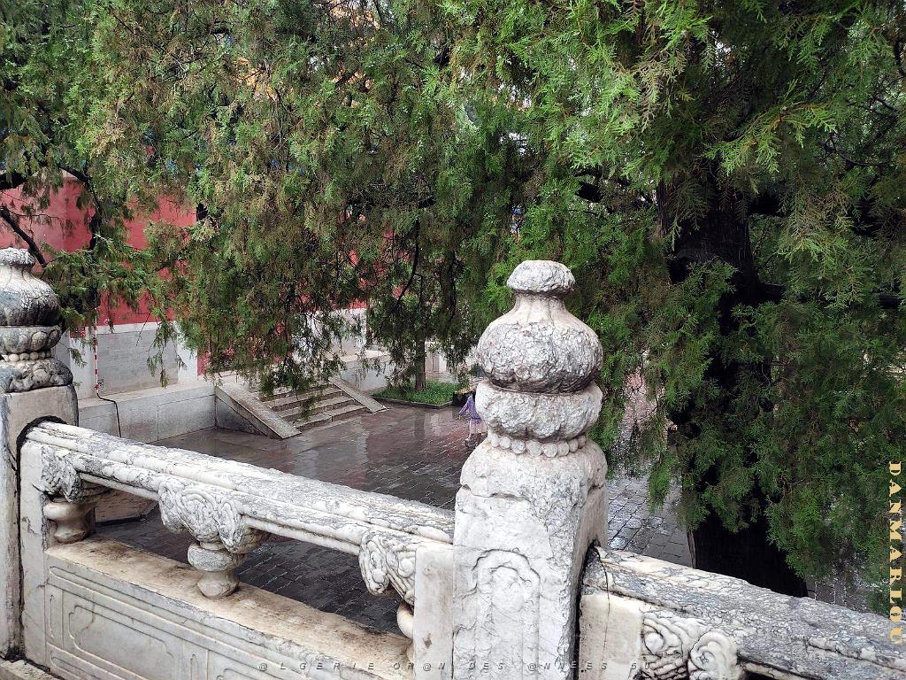 PEKIN-TEMPLE DE CONFUCIUS ACADEMIE IMPERIALE (17).jpg